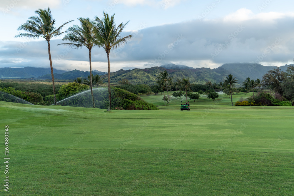 Obraz premium Green grassy golf course with palm trees and a cloudy sky, Poipu, Kauai