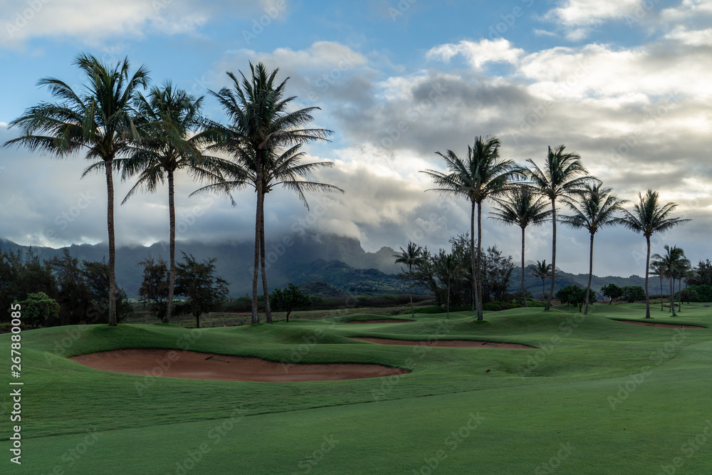 Green grassy golf course with palm trees and a cloudy sky, Poipu, Kauai Green grassy golf course with palm trees and a cloudy sky, Poipu, Kauai