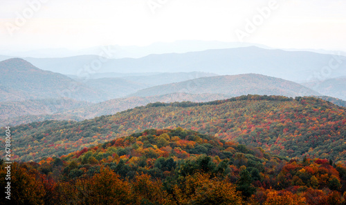 Max Patch in North Carolina in the Appalachian Mountains  © Alisha