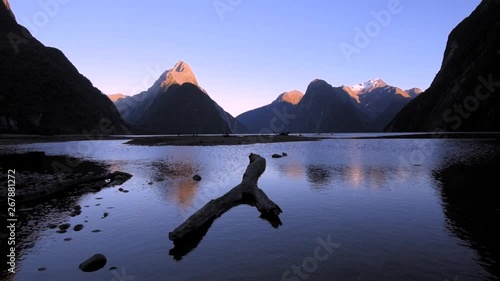 Sunset at the Milford Sound in the Fiordland National Park, New Zealand. Wide Angle shot with a branch in the foreground in refelcting water photo