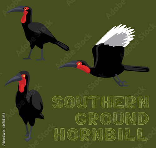 Bird Southern Ground Hornbill Cartoon Vector Illustration
