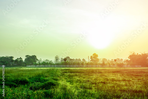 Landscape green field with warm sun light in the morning, Green nature with sun rise sky clouds, Yellow flare light background