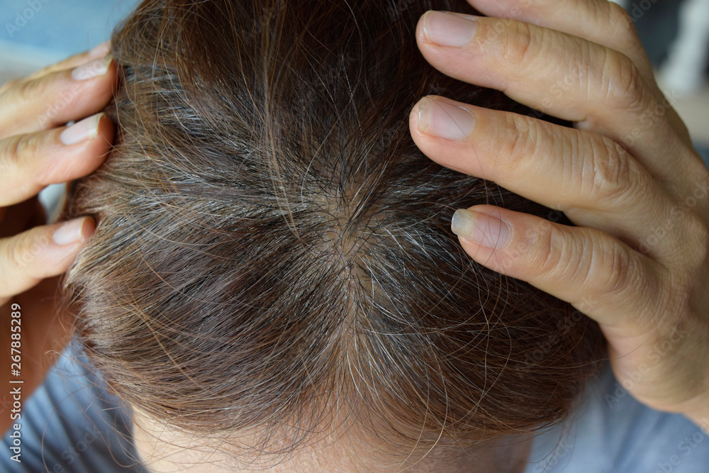 Obraz premium Close up Asian Dying grey hair roots.