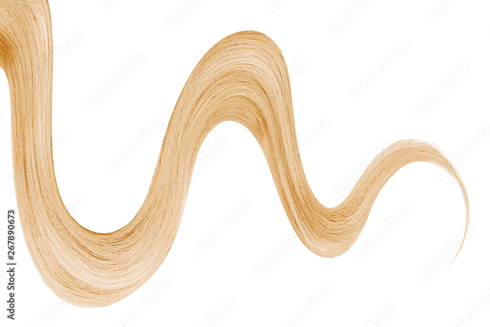 Strand of long wavy blond hair isolated on white background Strand of long wavy blond hair isolated on white background
