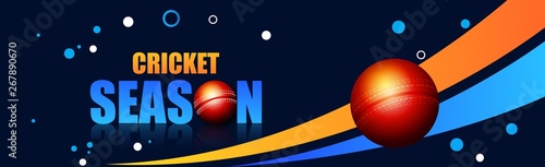 Cricket championship banner,POSTER cricket sports background - Vector