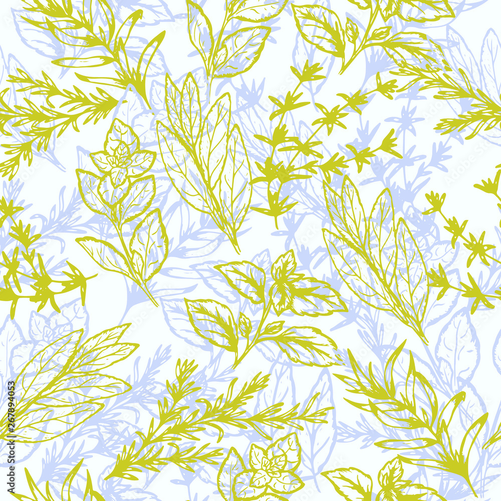 Fototapeta premium pattern spicy herbs