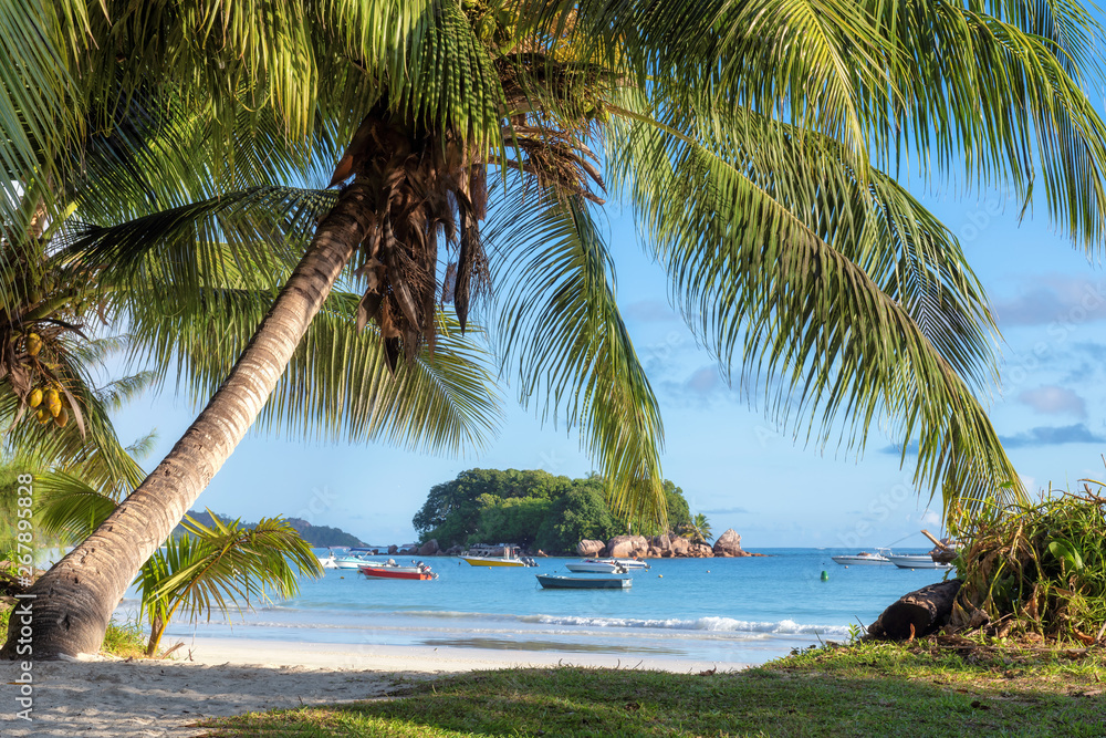 Sunny beach with palm and a sailing boats in the turquoise sea on Praslin island, Seychelles. Sunny beach with palm and a sailing boats in the turquoise sea on Praslin island, Seychelles.