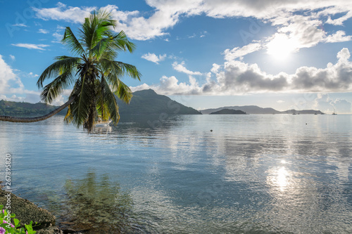 Tropical island at sunrise with coco palm in the beach  Praslin island  Seychelles. 
