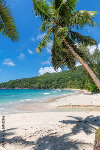 Fototapeta Naklejka Na Ścianę i Meble -  Tropical beach with coco palms in Seychelles, Anse Takamaka beach. Summer vacation and travel concept.  