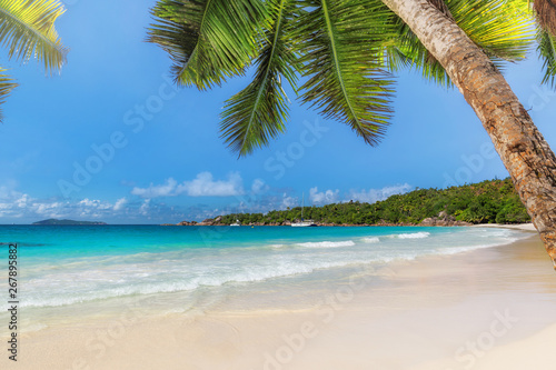 Palm trees on Anse Lazio beach at Praslin island, Seychelles. Summer vacation and travel concept. 