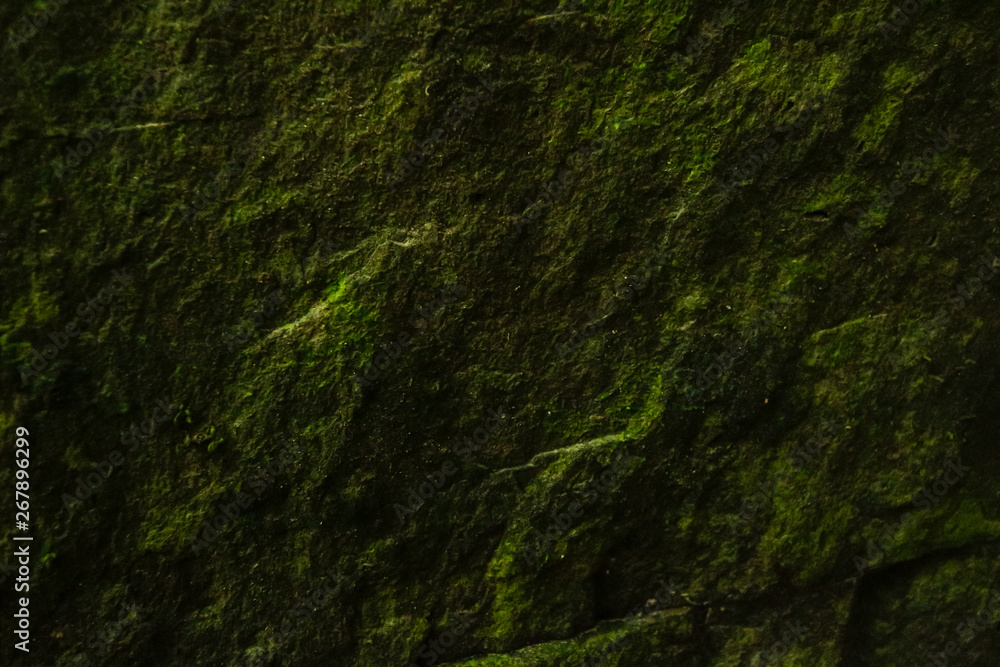 Background and black marble. Bedrock Stone In the forest near the