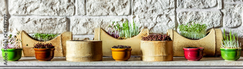 various microgreens in front of a brick wall photo