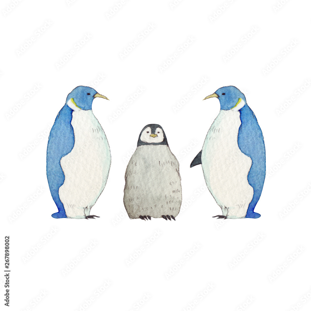 夏 冬 コウテイペンギン 家族 動物 水彩 イラスト Illustration Stock Adobe Stock