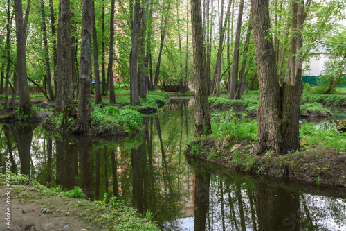 Small lake in the city surrounded by trees. Spring. Reflection of trees in the water.