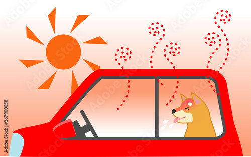 犬の熱中症対策 木陰で車中留守番する犬