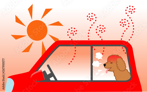 犬の熱中症対策 木陰で車中留守番する犬