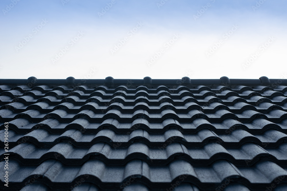 Obraz premium Gray roof