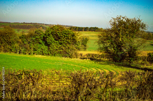Green meadows of england country side and trees