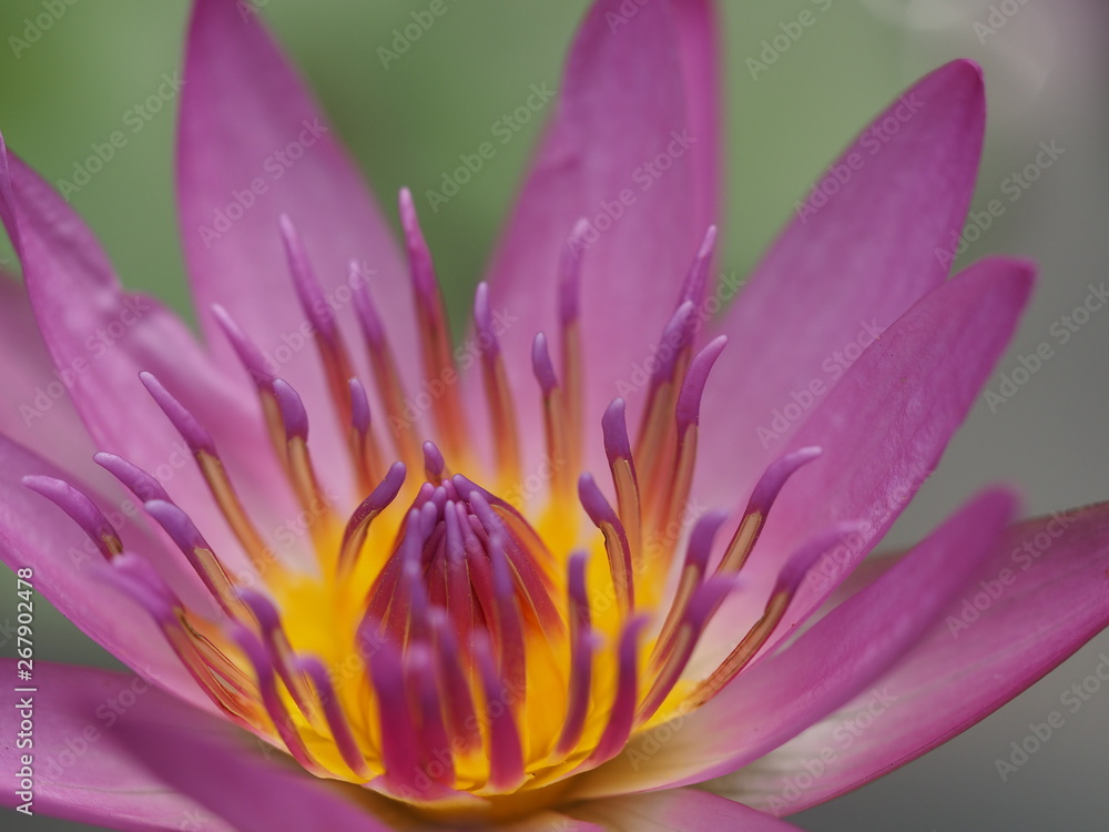 Fototapeta premium OLYMPUS DIGITAL CAMERA