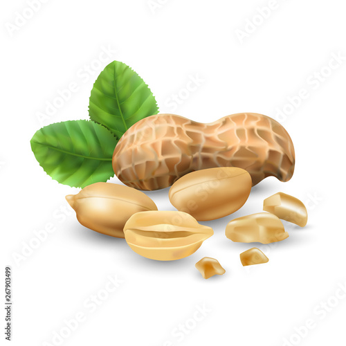 Peanuts isolated on white background for packaging. Protein nutrition. Nuts.