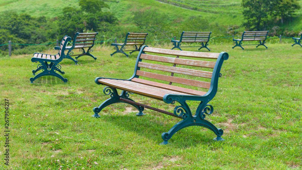 empty park bench on lawn in lush green parkland in summer