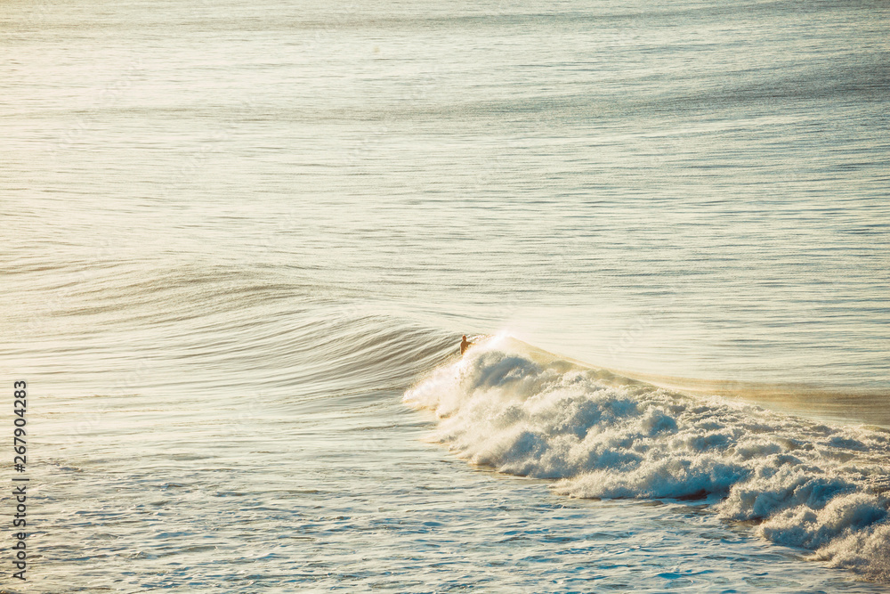 Naklejka premium Surfers and Waves at Bells Beach, Australia