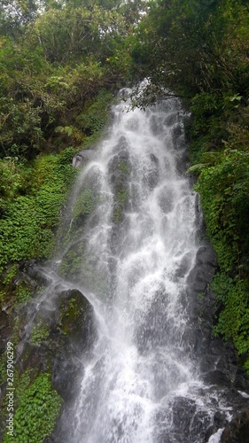 waterfall on a hill with lots of trees