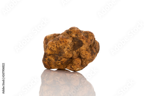 White truffle (tuber magnatum) isolated on white. photo