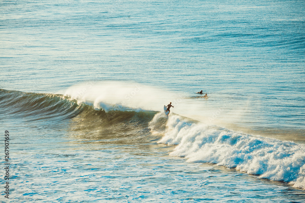 Fototapeta premium Surfers and Waves at Bells Beach, Australia