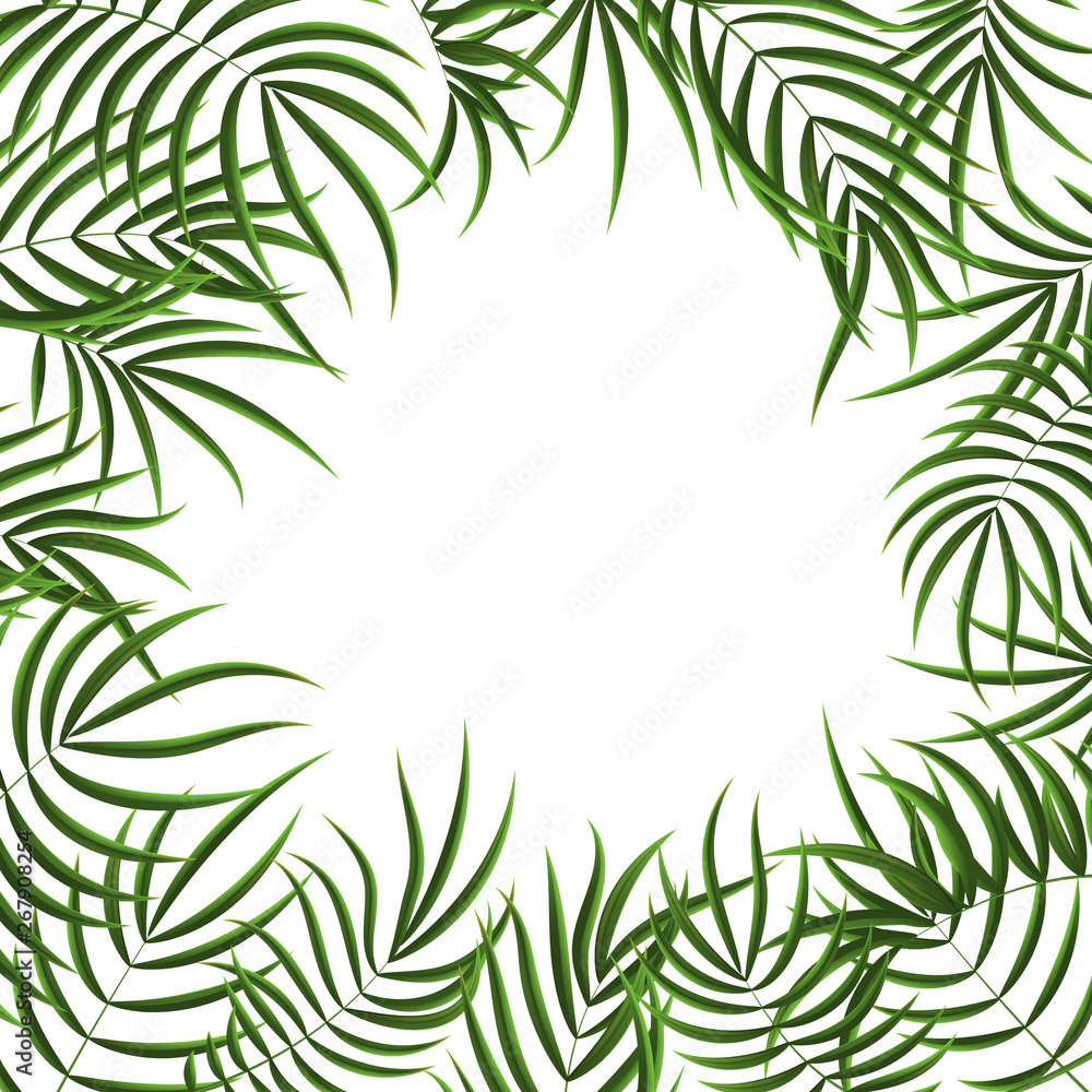 Realistic Detailed 3d Green Tropical Palm Tree Frame. Vector Realistic Detailed 3d Green Tropical Palm Tree Frame. Vector