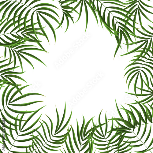 Realistic Detailed 3d Green Tropical Palm Tree Frame. Vector