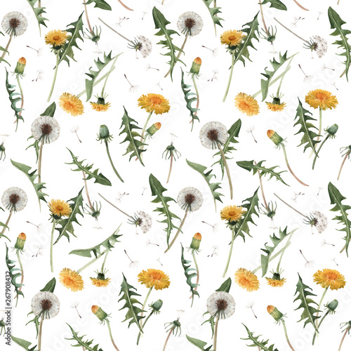 Watercolor dandelion blowball vector pattern