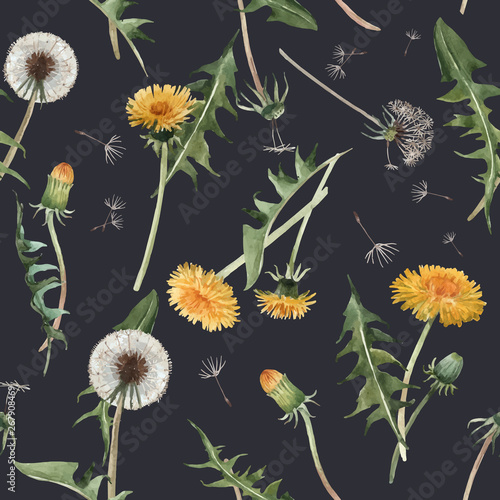 Watercolor dandelion blowball vector pattern
