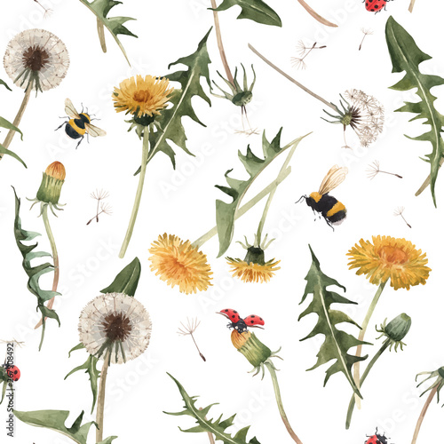 Watercolor dandelion blowball vector pattern