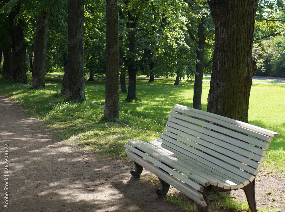 White wooden bench stand near a footpath in a summer park White wooden bench stand near a footpath in a summer park