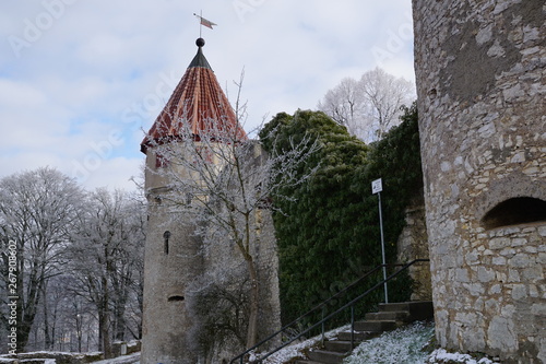 ruine honburg in tuttlingen im sommer photo