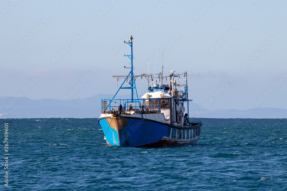 Squid fishing boat at sea