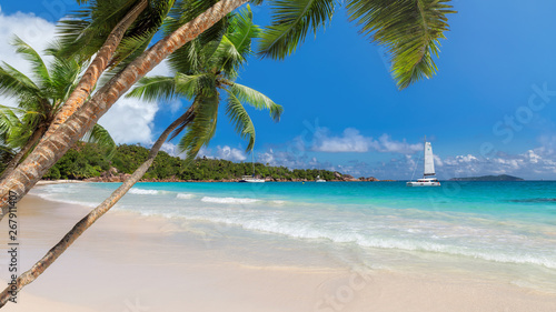 Fototapeta Naklejka Na Ścianę i Meble -  Beautiful sandy beach with coco palms and a sailing boat in the turquoise sea on Paradise island.
