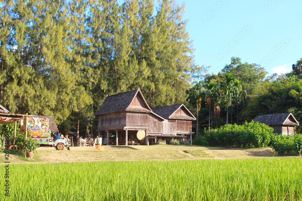 Nakhon Ratchasima Province, Thailand - December 25, 2016: Jim Thompson Farm. Beautiful and eco-friendly farm where you can see flowers and organic produce. Nakhon Ratchasima Province, Thailand - December 25, 2016: Jim Thompson Farm. Beautiful and eco-friendly farm where you can see flowers and organic produce.