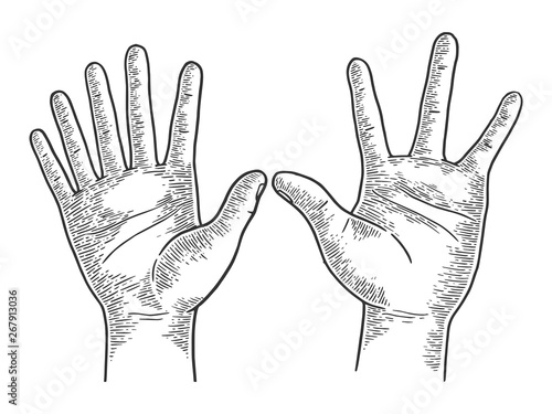 Unusual hands with six and four fingers sketch engraving vector illustration. Scratch board style imitation. Black and white hand drawn image.