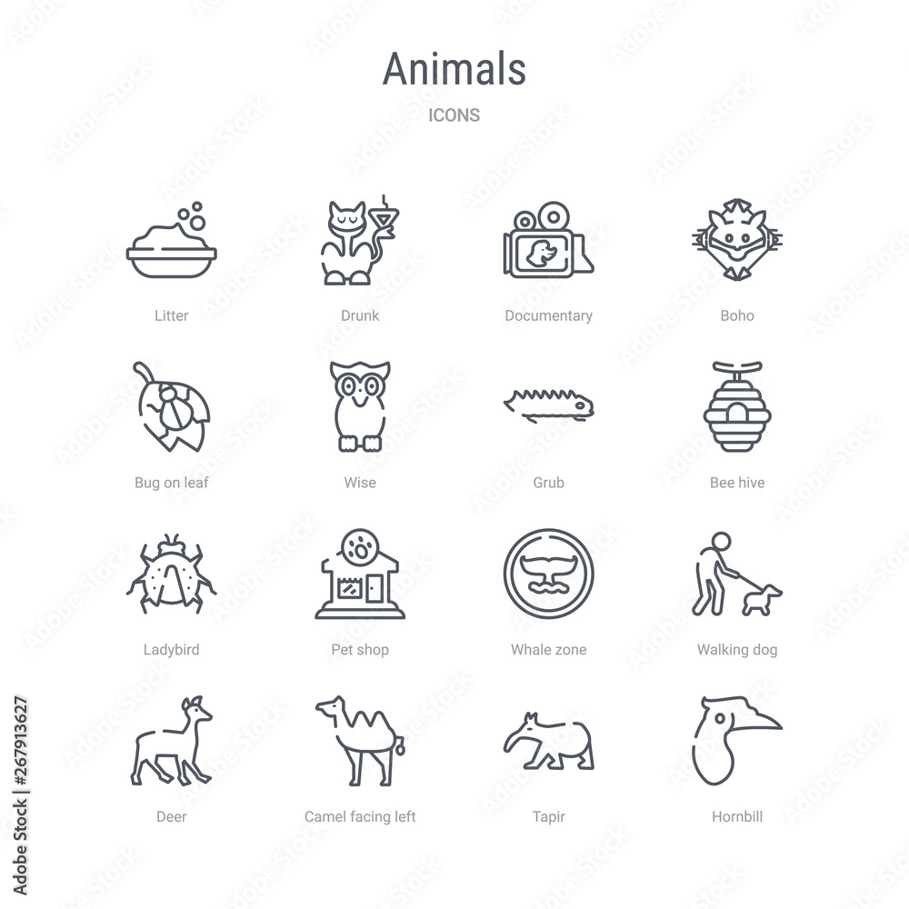set of 16 animals concept vector line icons such as hornbill, tapir, camel facing left, deer, walking dog, whale zone, pet shop, ladybird. 64x64 thin stroke icons
