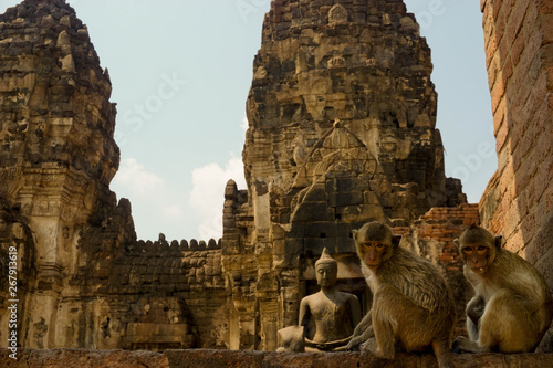 Fotografía Monkeys in the temple