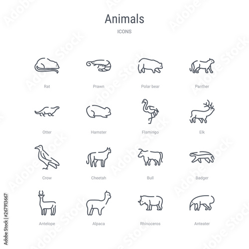 set of 16 animals concept vector line icons such as anteater, rhinoceros, alpaca, antelope, badger, bull, cheetah, crow. 64x64 thin stroke icons