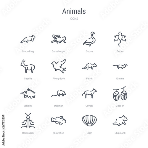 set of 16 animals concept vector line icons such as chipmunk, clam, clownfish, cockroach, cocoon, coyote, desman, echidna. 64x64 thin stroke icons