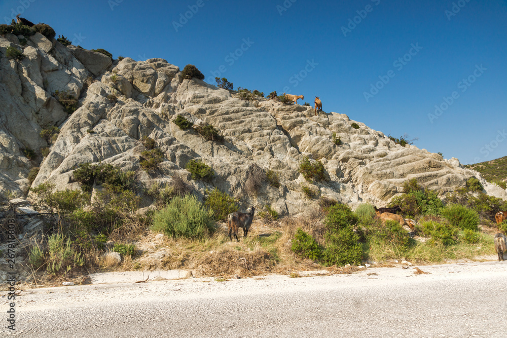 Rural landscape of Sithonia peninsula, Chalkidiki, Central Macedonia, Greece