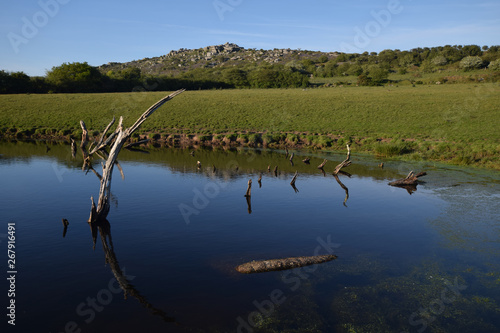 Pool formed below Helman Tor Cornwall by tin streaming photo