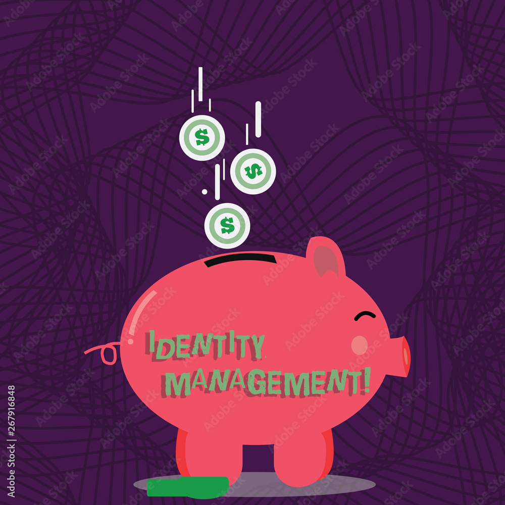 Obraz premium Text sign showing Identity Management. Business photo showcasing administration of individual identities within a system Color Piggy Bank Sideview and Dollar Currency Coins Falling Down to the Slit