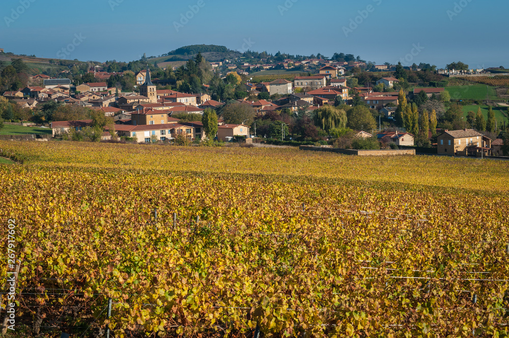 Vue sur le vignoble du beaujolais en automne