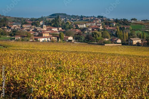 Vue sur le vignoble du beaujolais en automne