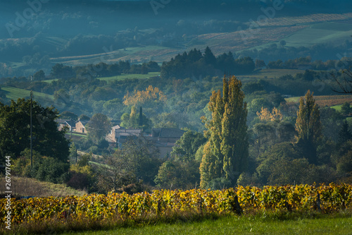 Paysage du beaujolais en automne